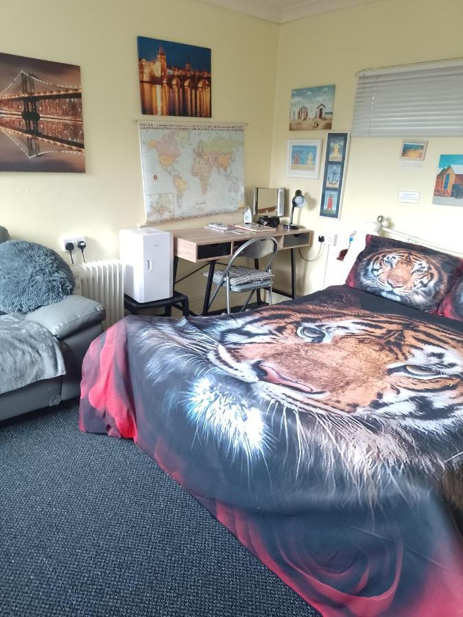 Studio Pad Lägenhet Cardiff Exteriör bild